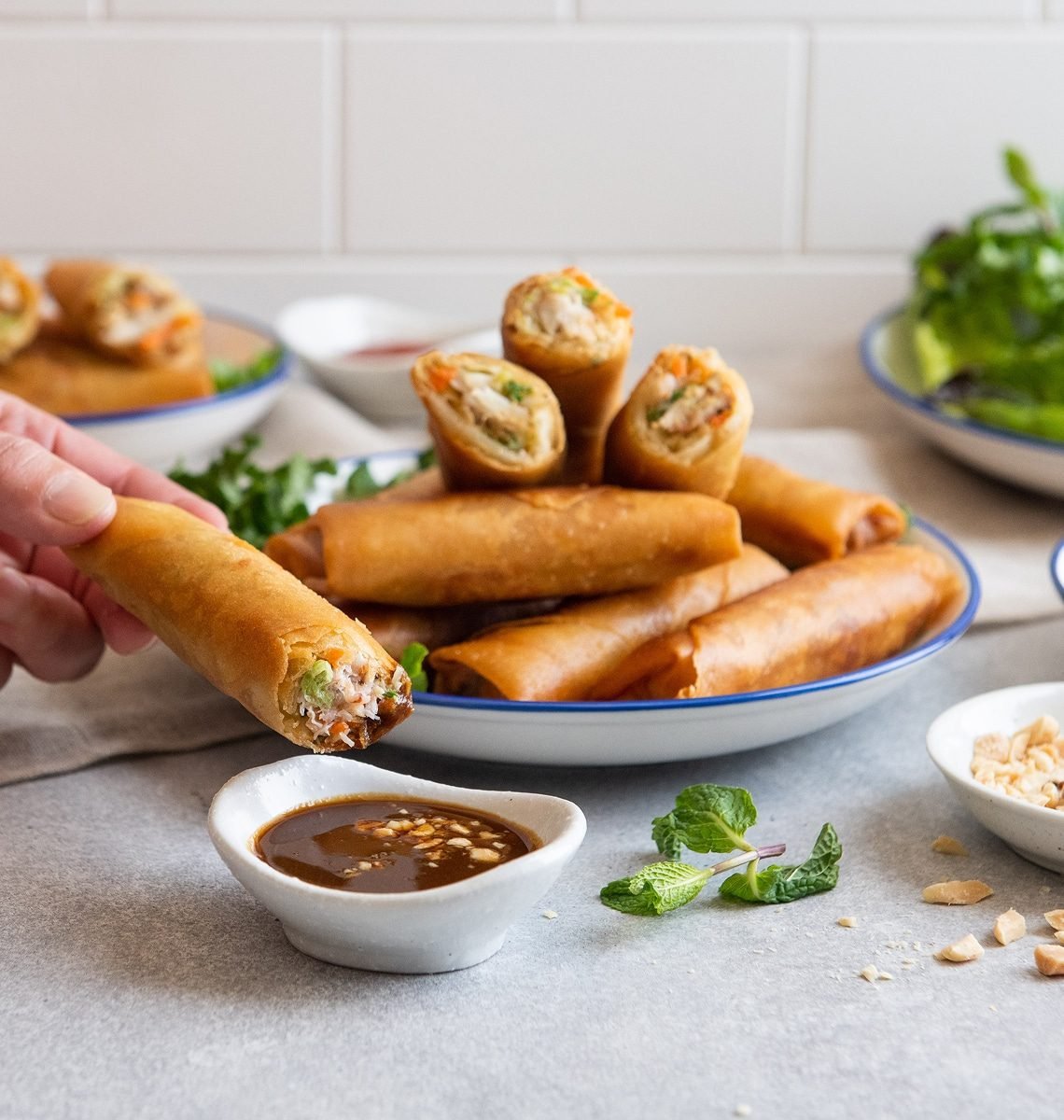 9 Spring Rolls Recipe Ideas - Chef Olu