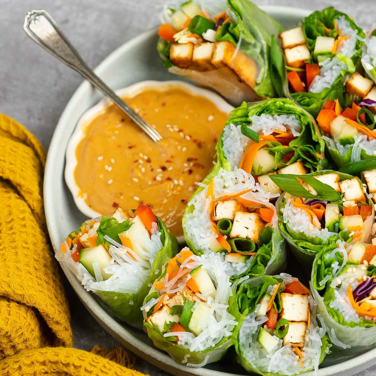 Spring Roll Recipe Using Rice Paper 9 Rice Paper Spring Rolls Ideas - Chef Olu